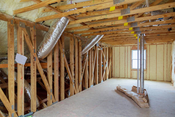 Best Insulation Removal  in Lake Ozark, MO