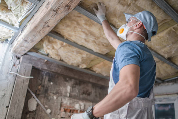 Best Insulation Repair Services  in Lake Ozark, MO