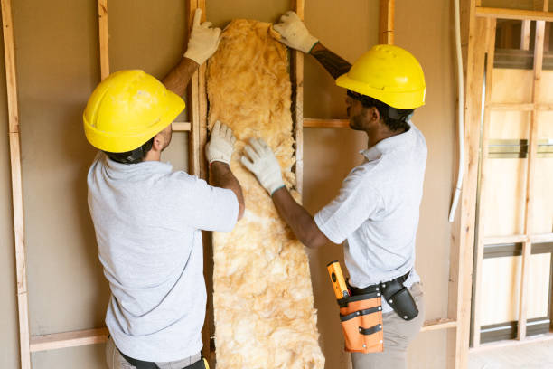 Best Residential Insulation Services  in Lake Ozark, MO