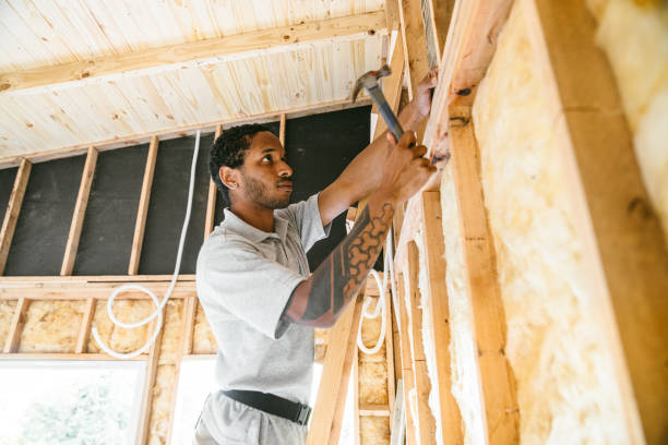 Best Cellulose Insulation  in Lake Ozark, MO