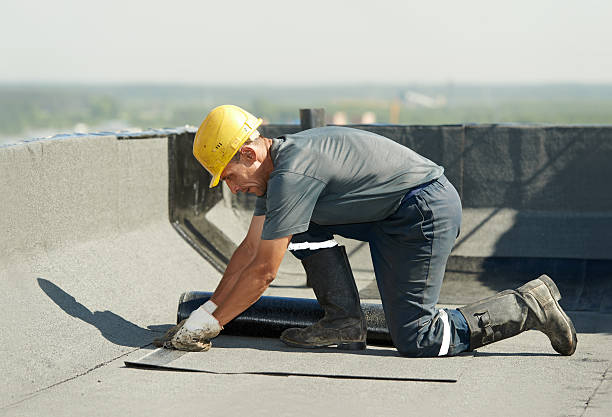 Best Insulation Replacement Services  in Lake Ozark, MO