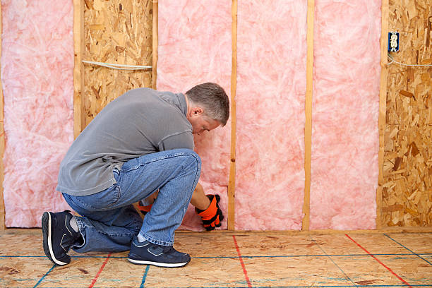 Best Attic Insulation Installation  in Lake Ozark, MO