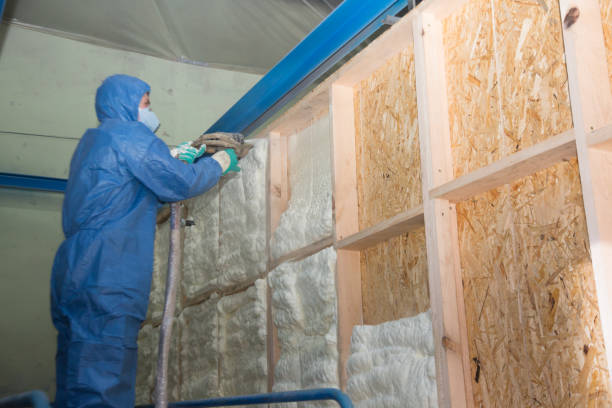 Best Best Insulation Companies  in Lake Ozark, MO